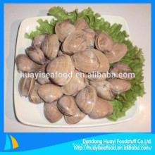 various frozen surf clam in shell competitive price